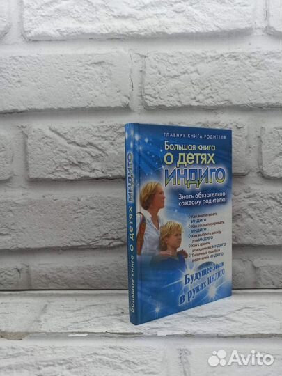 Большая книга о детях индиго. Березина Алина, Арте