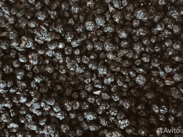 Лимонник,бархат амурский,дикоросы