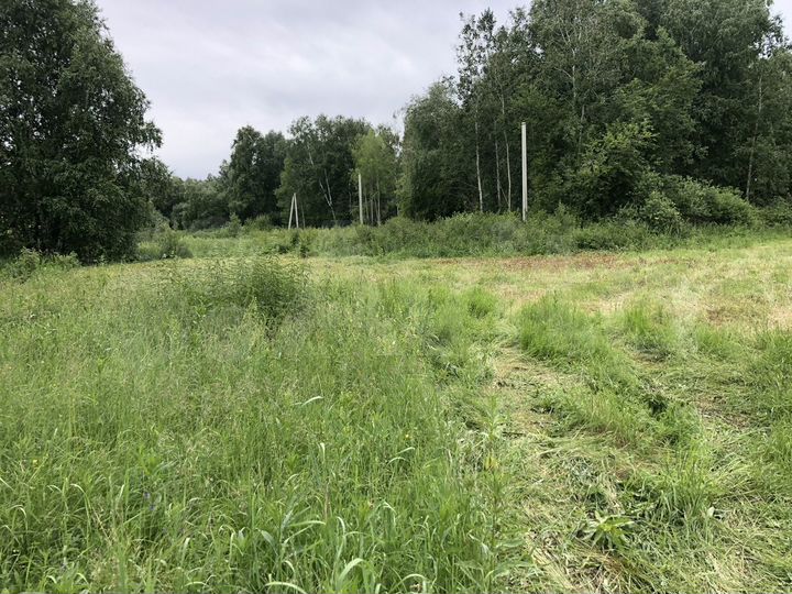 Участок 13 сот. (СНТ, ДНП)