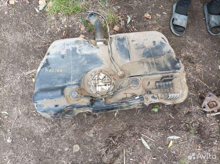 Бак на калину