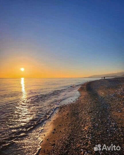 Йога-тур в Абхазию