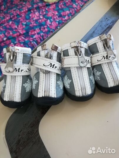 Обувь для маленьких собак