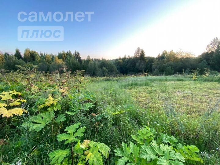 Участок 15 сот. (ИЖС)