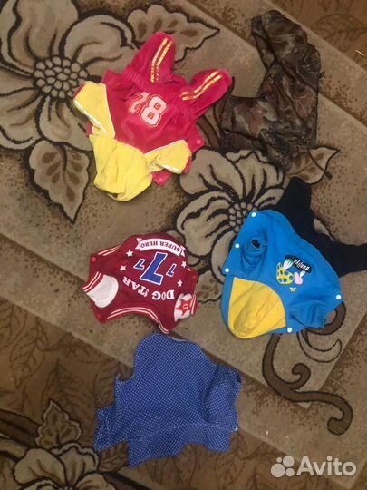 Одежда для маленьких собак