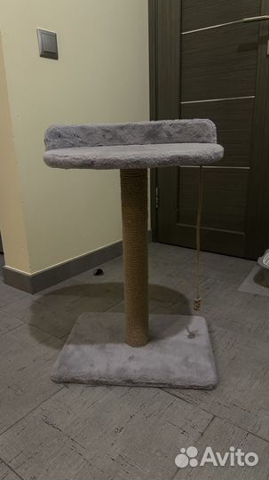 Когтеточка