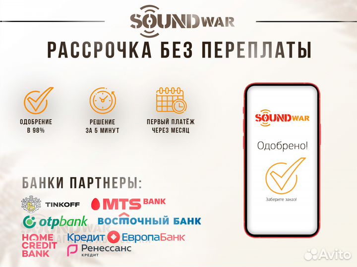 DL Audio Gryphon Pro 165 Midbass