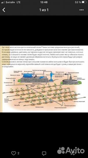 Автоматический полив