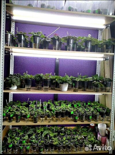 Стеллаж для цветов