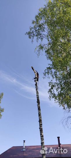 Спилить дерево