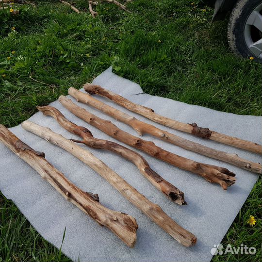 Коряги дрифтвуд из моря