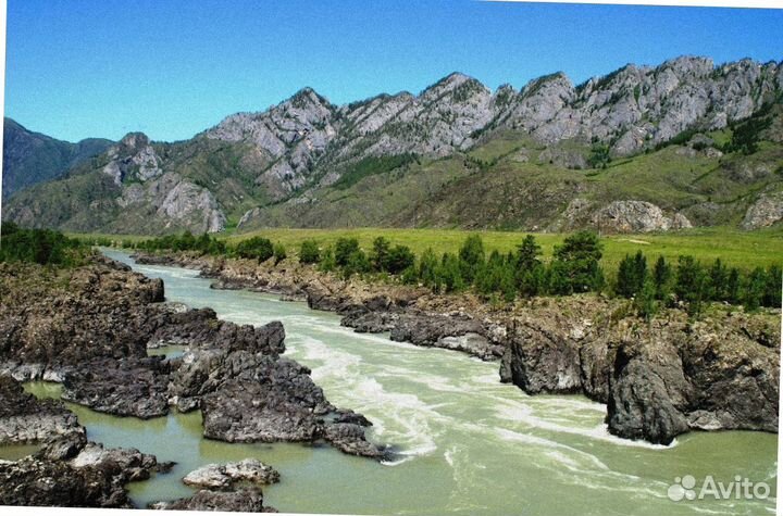 Алтай летний тур экспедиция 4-7 дней