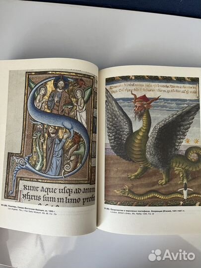 Книга «Страдающее средневековье»