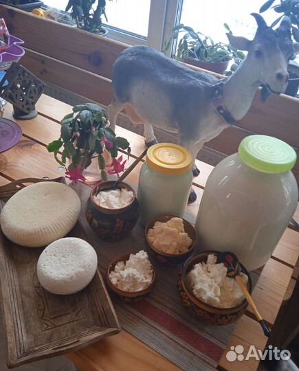 Молоко козье, коровье и молочные продукты