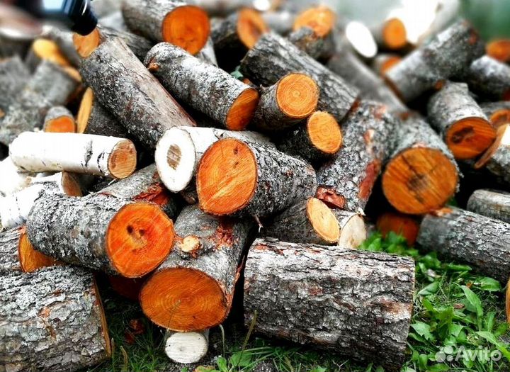 Дрова без жучков
