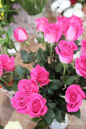 Цветы розы букет