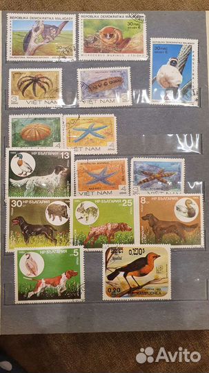 Почтовые марки кубы