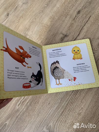 Книга для детей Мои первые картинки и стихи Робинс