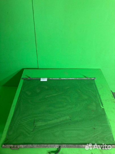 Cетка решетки радиатора RVI premium