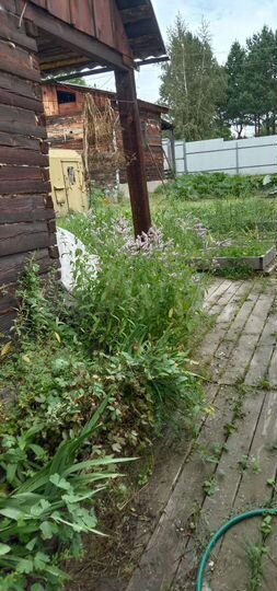 Дача 12 м² на участке 10 сот.