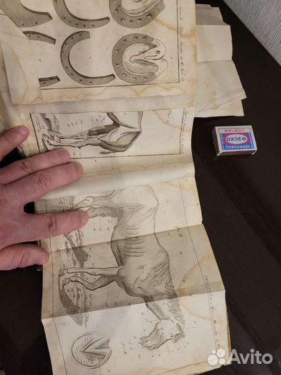 Редкая книга 1820гв Конский врач