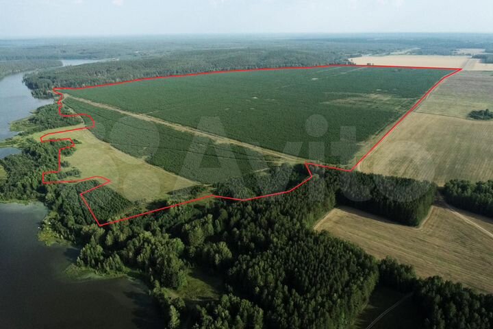 Участок 249,31 га (ИЖС)