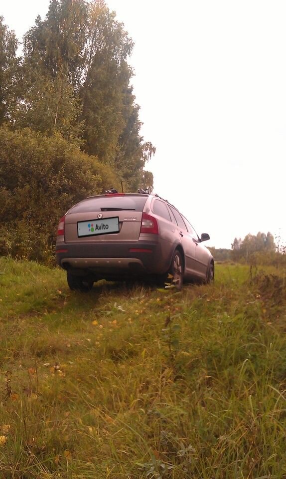 Skoda Octavia: фото владельца