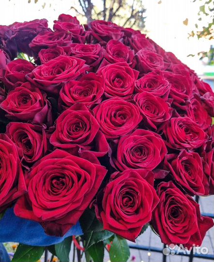 Сотрудник на цветочный склад