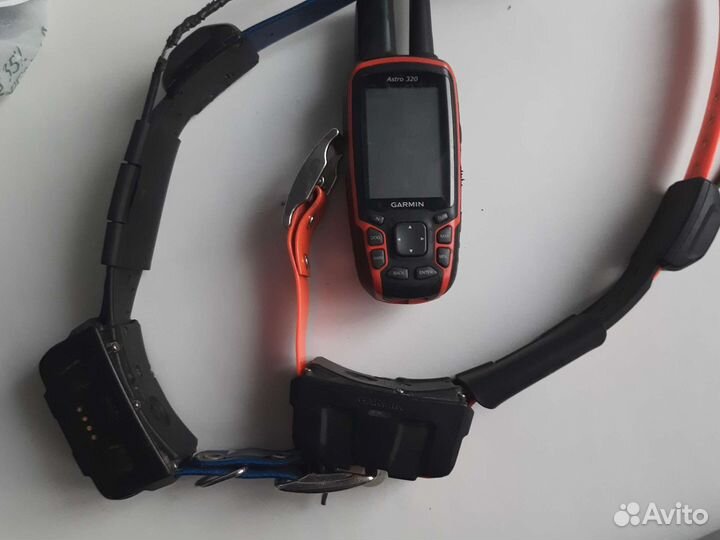 Garmin astro 320 с ошейником DC50