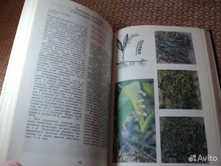 Разные книги