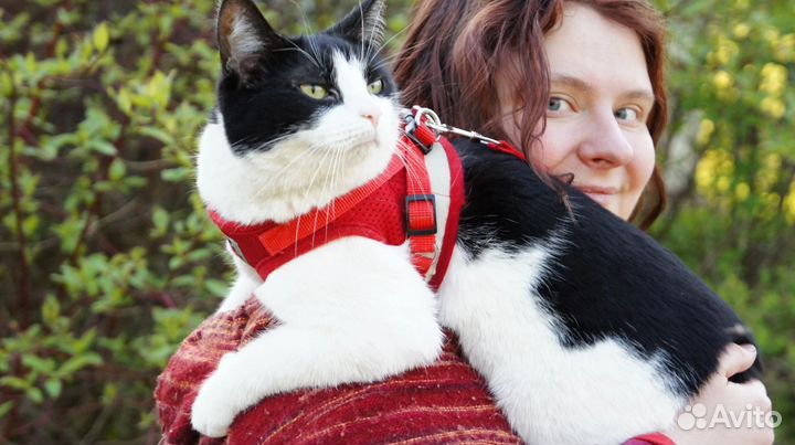 Зооняня/котоняня(свободна)