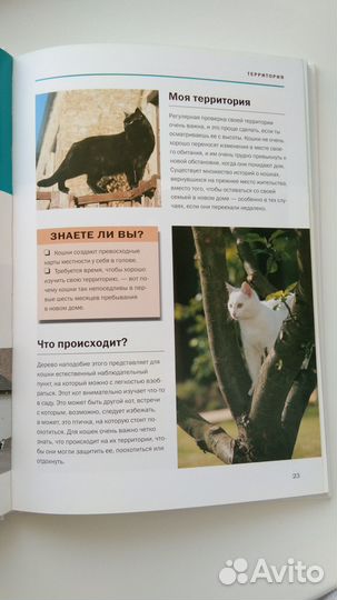 Книга про кошек