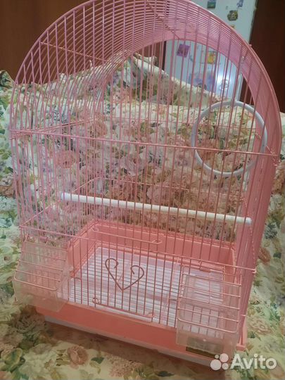 Клетка для попугая бу