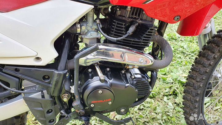 Motoland td250-d