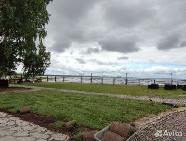 Натуральный рулонный газон