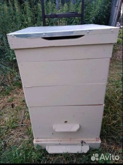 Ульи для пчел