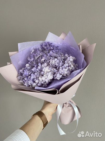 Букет из сухоцветов гортензии