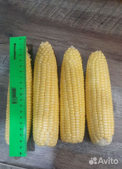 Сладкая кукуруза