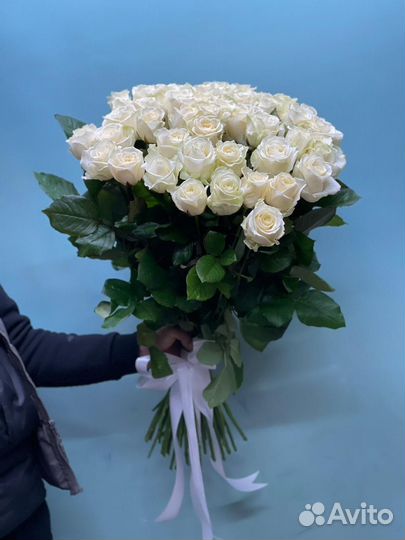 Белая роза прекрасная