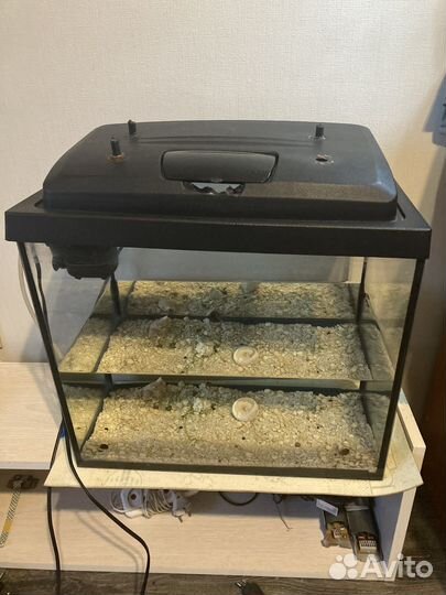 Аквариум с рыбками и оборудванием