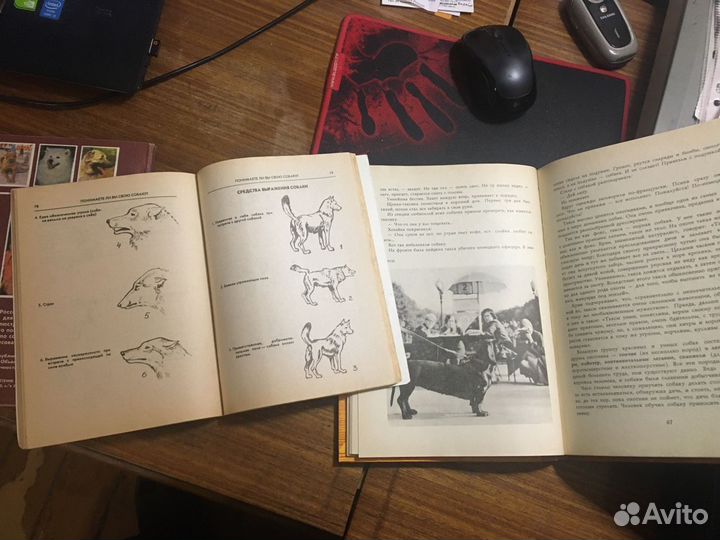 Книги по собаководству