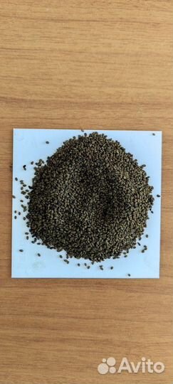 Семена люцерны