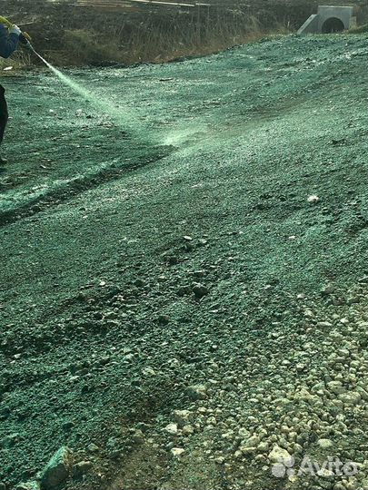 Рулонный газон, укладка. Посев. Гидропосев