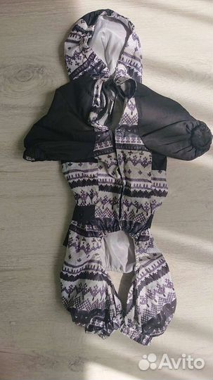 Одежда для собак мелких пород