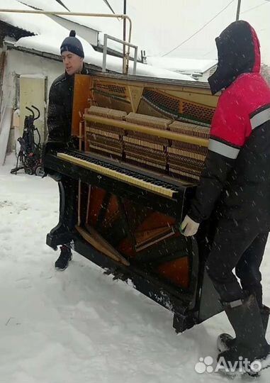 Грузчики + Газель 