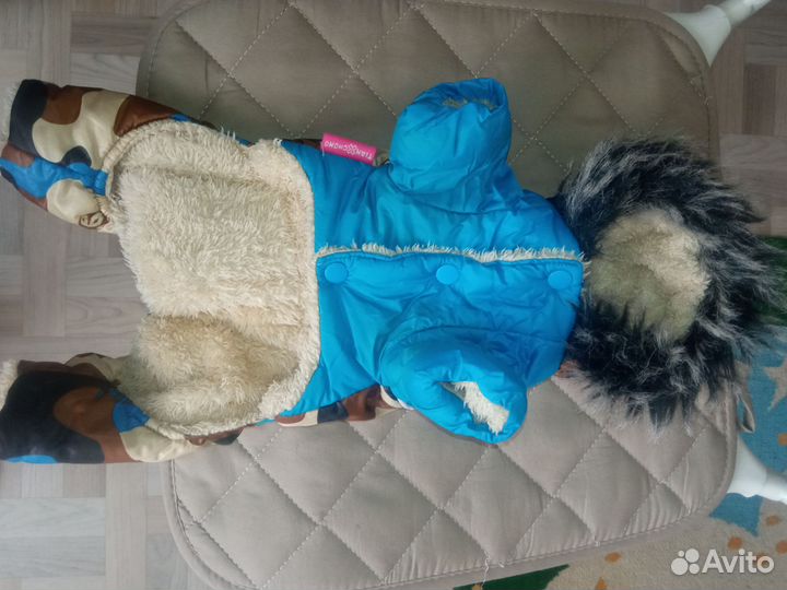 Одежда для маленьких собак