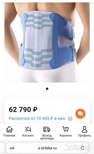 Корсет поясничный Bauerfeind SecuTec Lumbo (dorso)