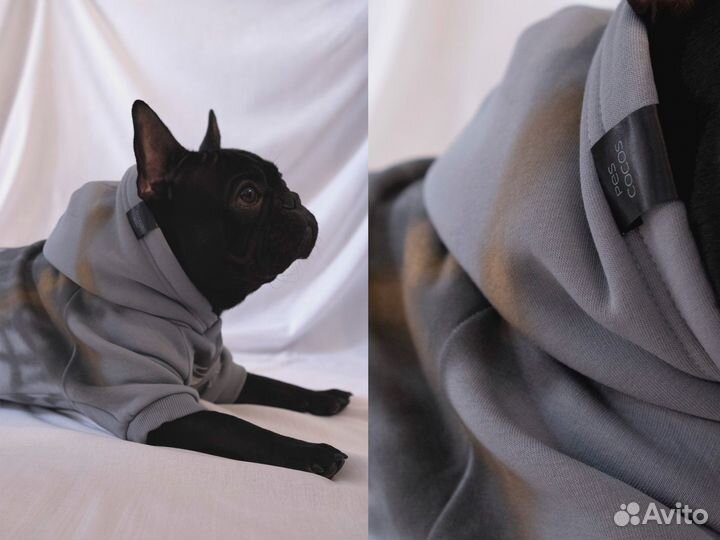 Худи для собак (дизайнерские)