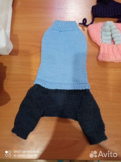 Одежда для маленьких собак