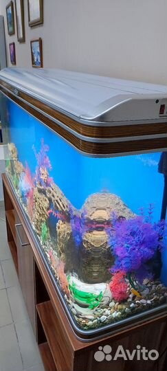 Аквариум с тумбой sobo