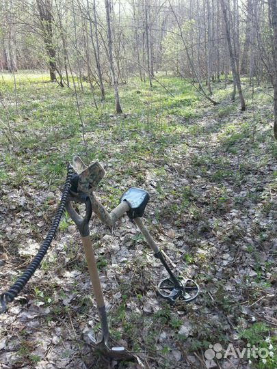 Металлопоиск, аренда металлоискателя с оператором